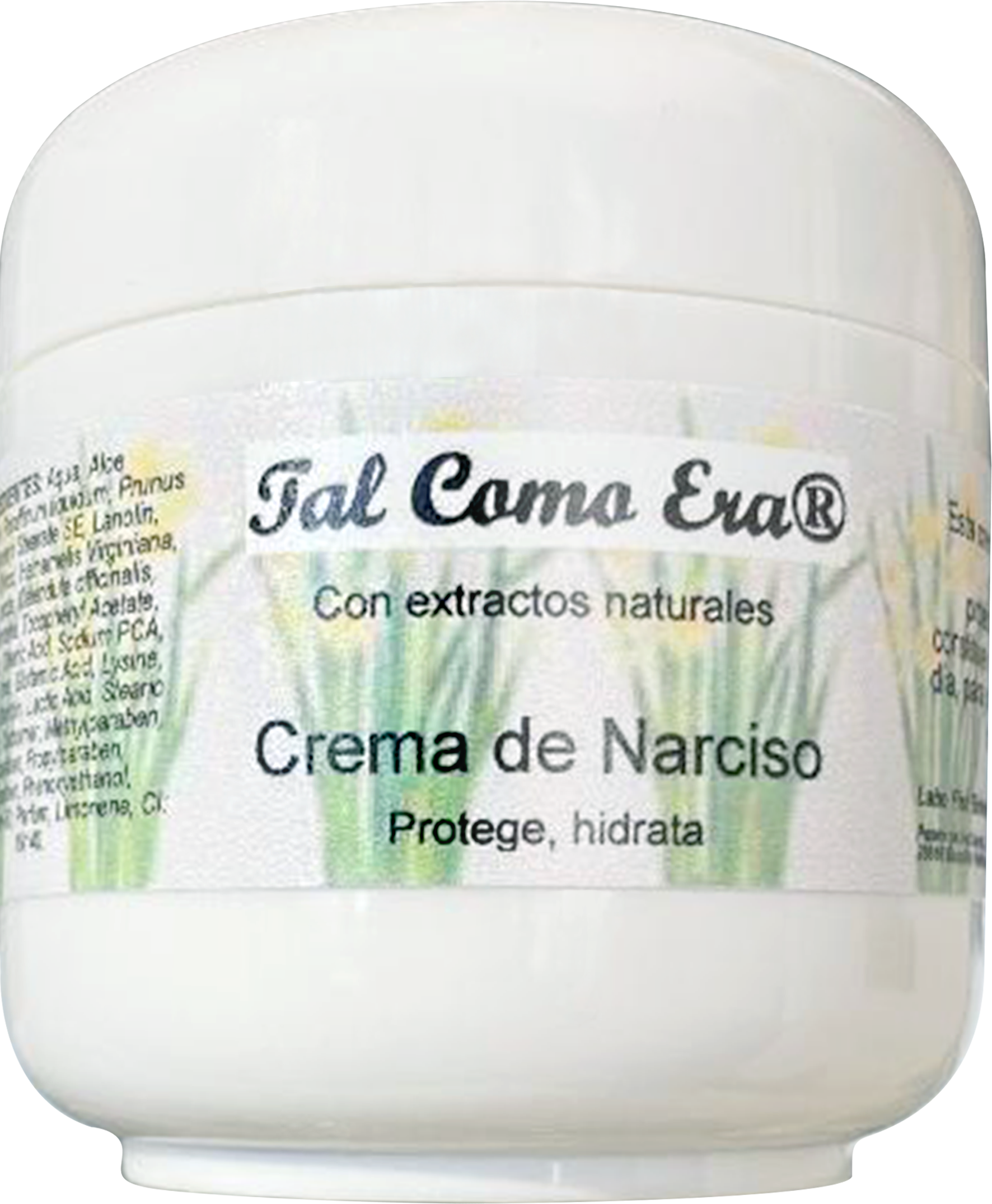 Crema de Narciso